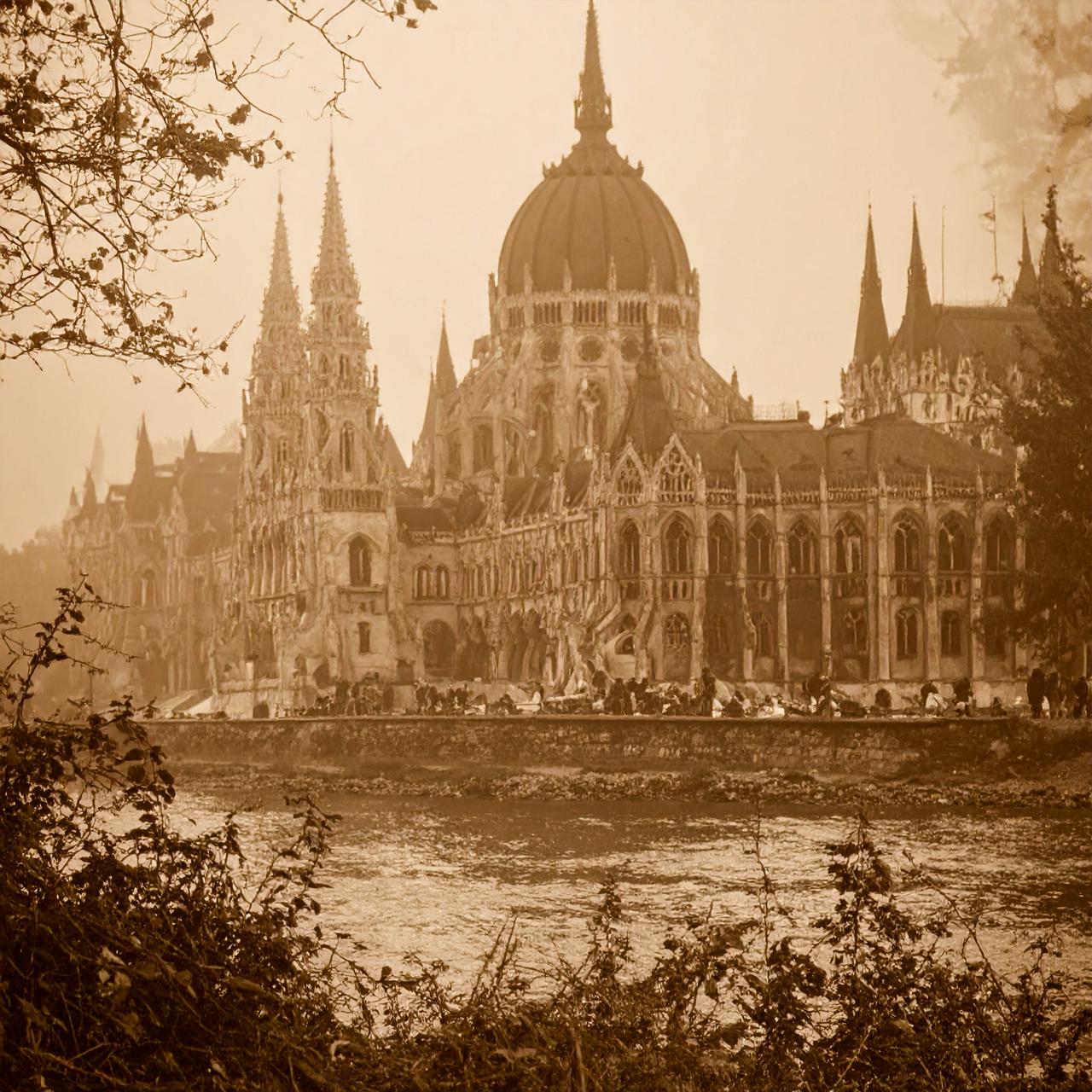 Parliament Observation